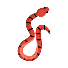 snake